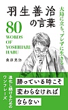 HP̌t80
