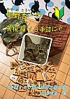 Ж썁 kP3lɂ